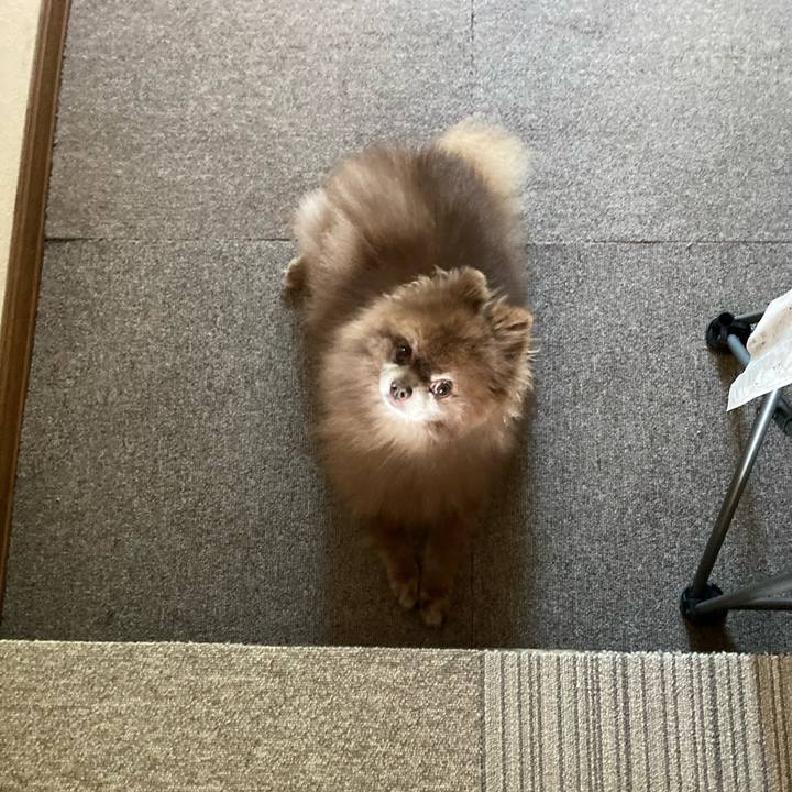 D8ae6f9b 9f5c 4904 ba48 43bf029e3896 1662237795473