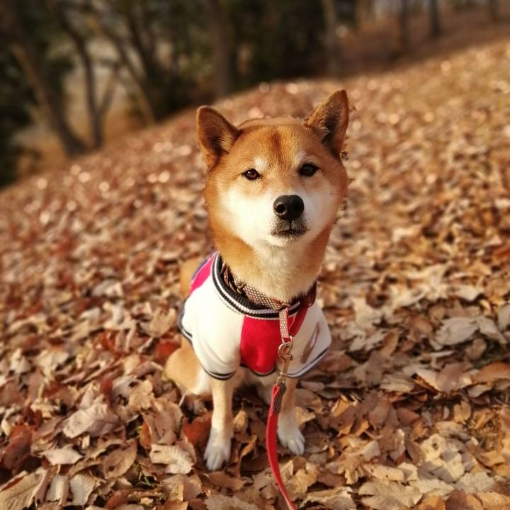 D8ae7b8a cc80 4183 9b2d 1263a134cf08 1609224877605