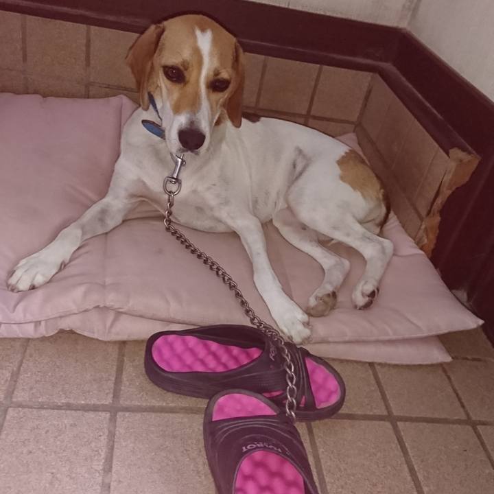 D8ae7cc4 3bcc 4717 a90a a36977118dc4 1567830562291