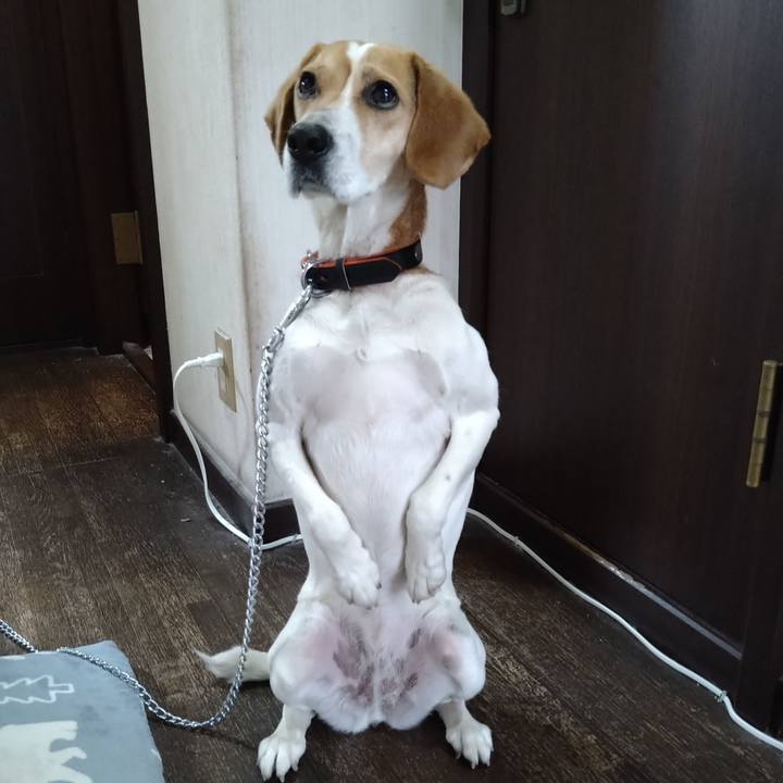 D8aef2c6 8add 4d22 a02b 1fc433748917 1618579003071