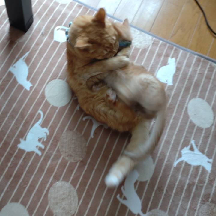 D8af25a7 68f5 45ce bf09 37d595260137 1670638973505