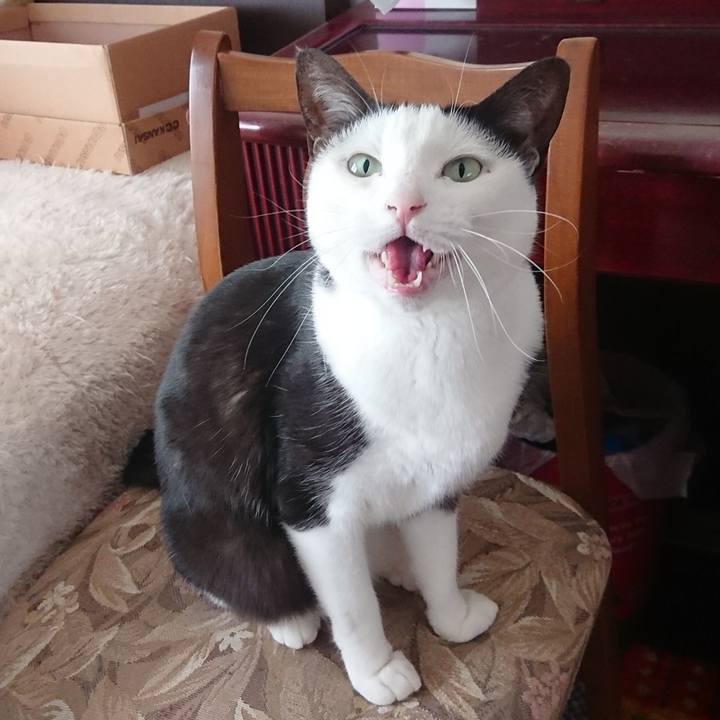 D8af95d5 9dd3 449b 8028 4612fef72a6b 1553220741687