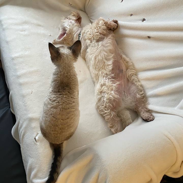 D8af9691 5a9a 4397 ab6e 1bd3c1933842 1602557814943