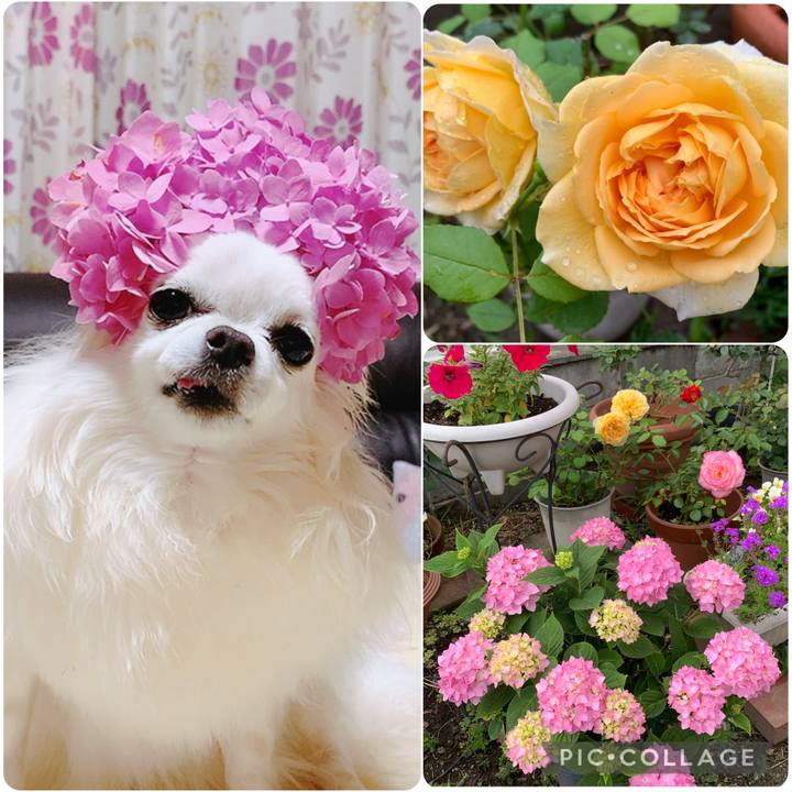 D8afc864 4e2a 4c7e 81d9 159393109505 1748914766918