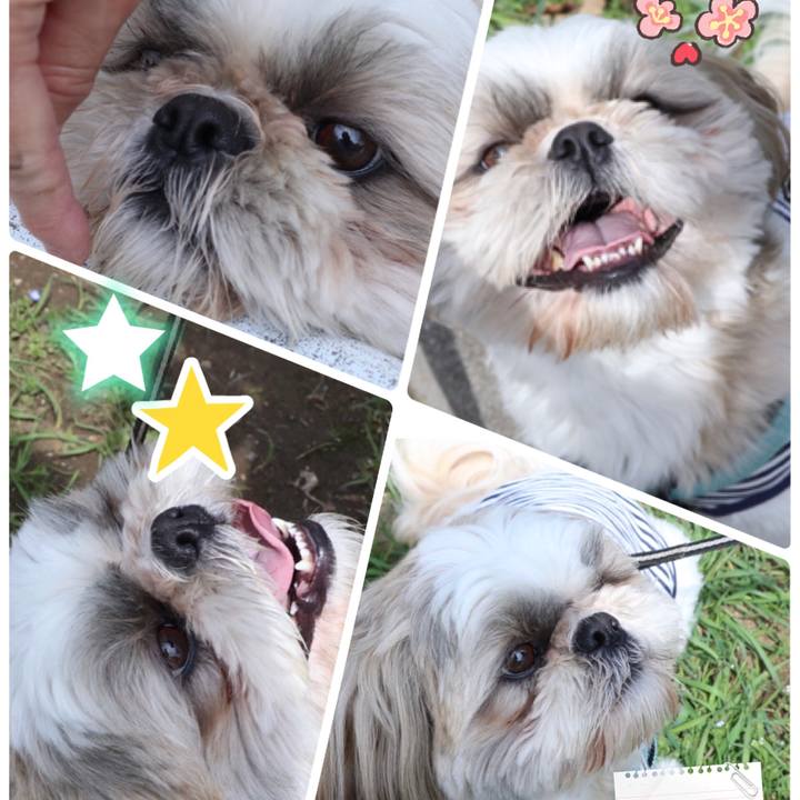 D8b0121c 585f 4945 9ff4 bb4fef3efb0f 1522032818702