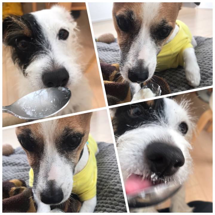 D8b02566 c910 4e8c 80f1 e03f1ebb6206 1538433768337