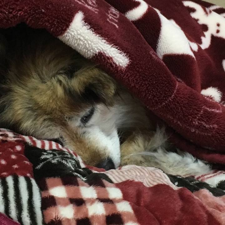 D8b05633 ad53 4b2b bce2 e232aa8dbd4f 1621098455504