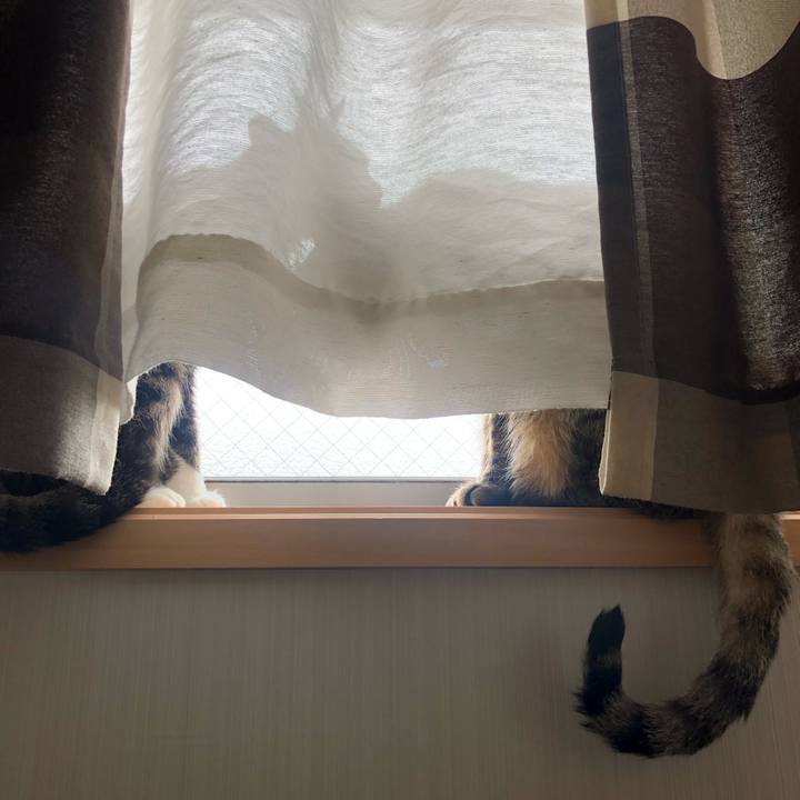 D8b062f1 928e 4463 bd46 69be5f3768a0 1587523544353