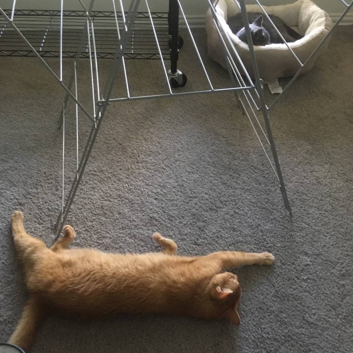 D8b10c5c be3a 4e86 a70f bdbf8fd5ad8e 1658979187419