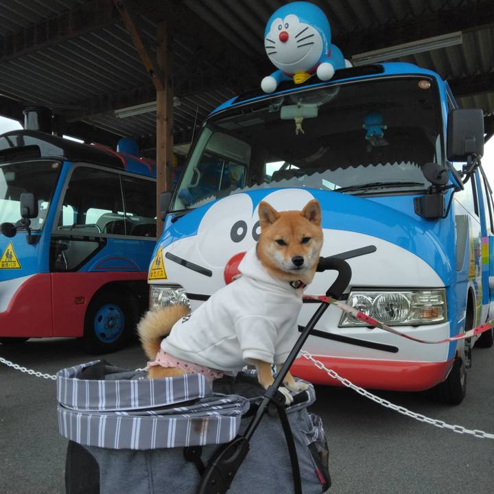 D8b143f3 c8ec 453e b9a1 3bee9f0e779b 1762061853156