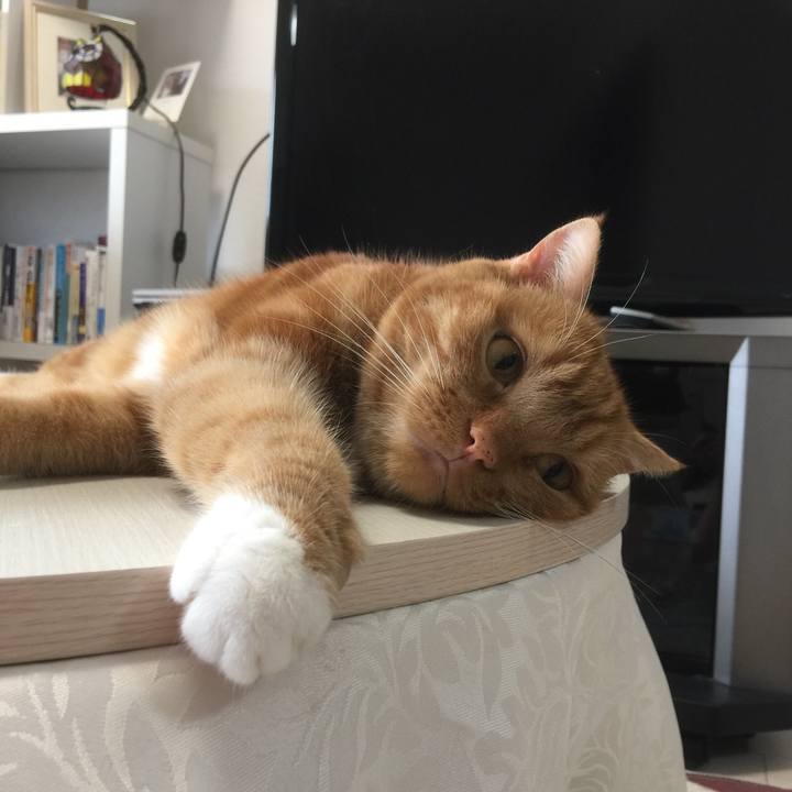 D8b153d7 4ae4 49ef b94e 2a74e6379074 1595479616014