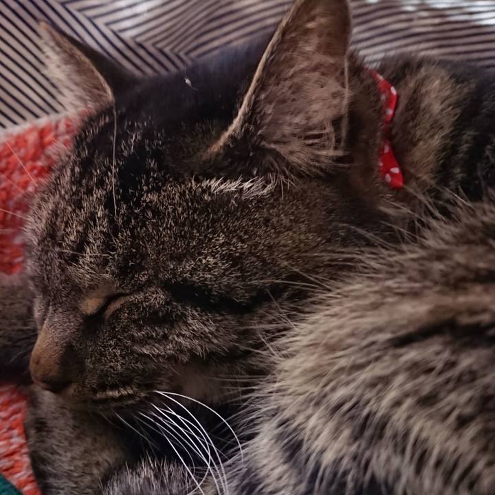 D8b17253 985b 464c b9f4 e9388c08f0aa 1640608748428