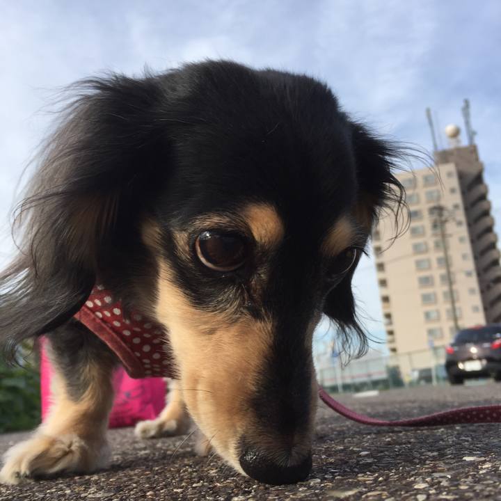 D8b1a02f 7bac 43a0 a0aa 672c080d8a45 1541979780737