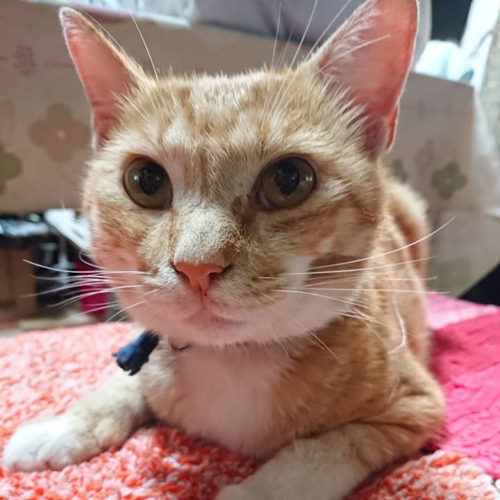 D8b1a0ef 4854 4fa7 a24a d3cf417a26af 1562843678930