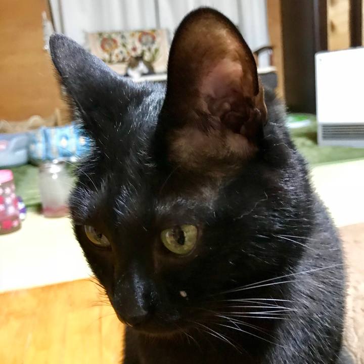 D8b1b043 50a6 4ac6 af64 880fbdc59371 1524396827692