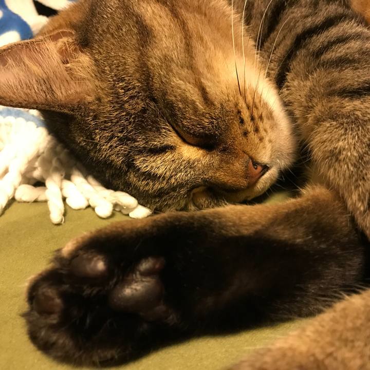 D8b1ba5b e531 469a a87d c11a4593485b 1564143531085