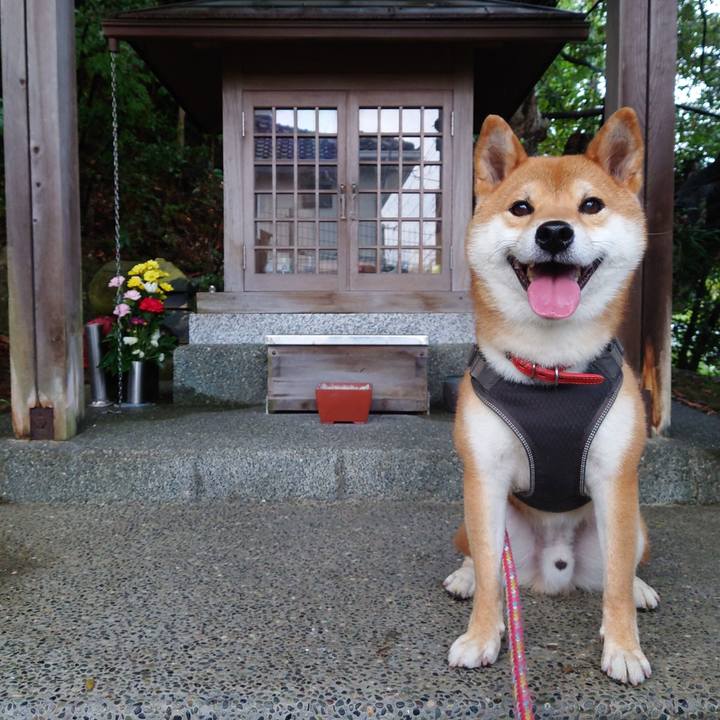 D8b1c095 6605 464f 96d0 c2eb72b83841 1760941536290