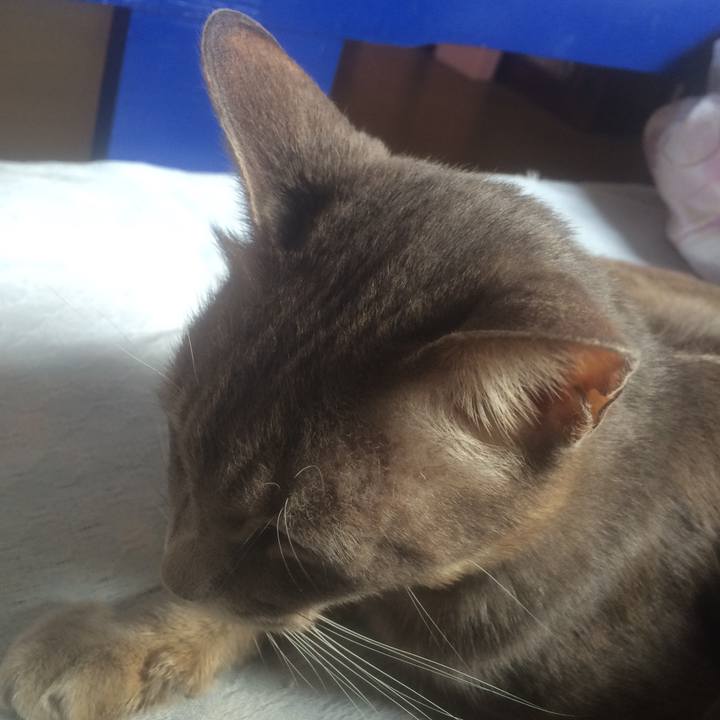 D8b23319 727f 4b88 9309 6fc54f49413b 1561598680878