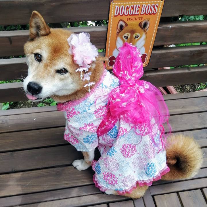 D8b28846 af0c 4009 b6b6 05c1c8d92353 1624500786952