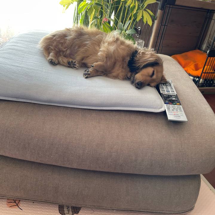 D8b2a0aa 3242 4583 8a33 3bc7b4f08c3f 1762910935387