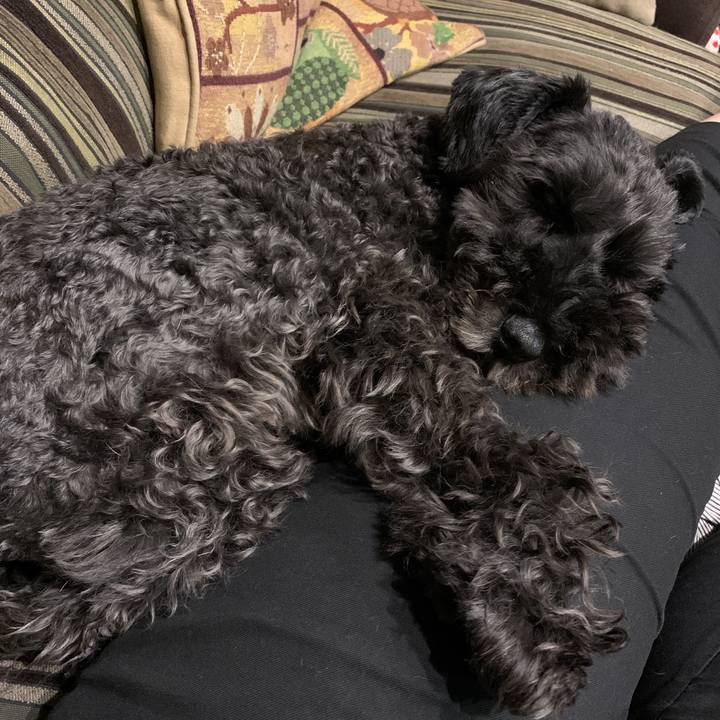 D8b2e02b 8649 4789 a407 f50aa648d858 1594027452179