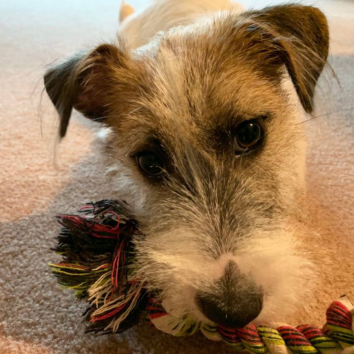 D8b30550 b84b 41c0 8b1b 8bd840cb422a 1566949481489