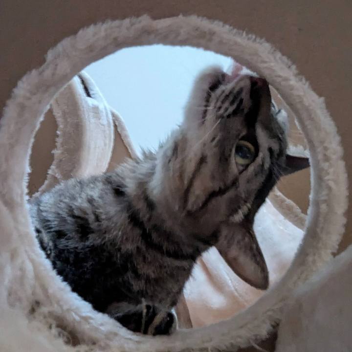 D8b307e8 4069 4857 98a3 31738aa97874 1757835571724