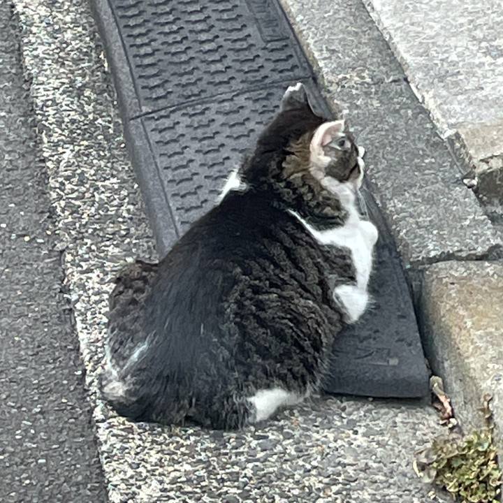 D8b339f5 8db1 463d 8fd8 c96d11c1a4ad 1647261212644