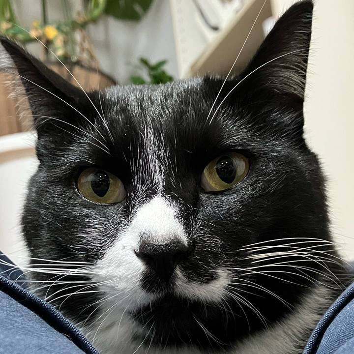 D8b34469 c9c3 4a89 b010 2d1a96f9837b 1673062184887