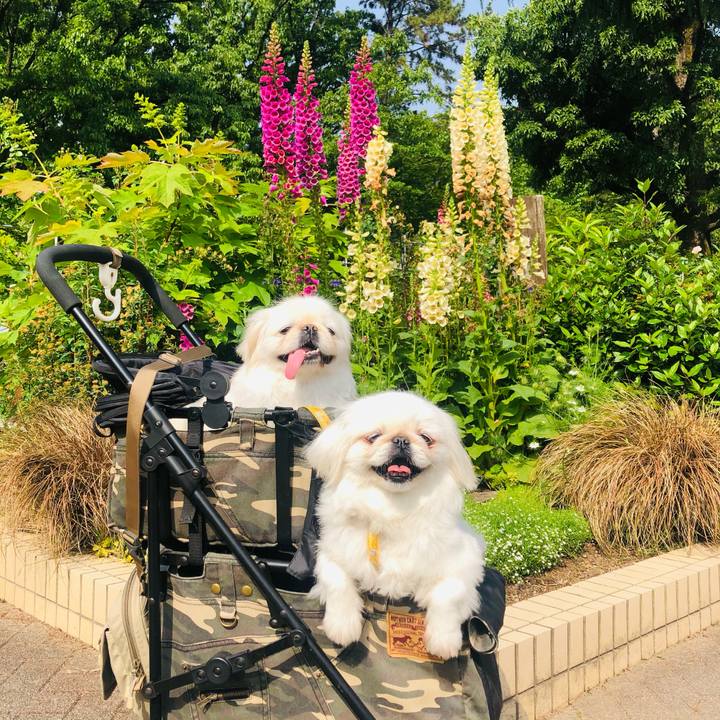 D8b3785c 161d 4a67 9169 6e601e09c6bd 1620976393019