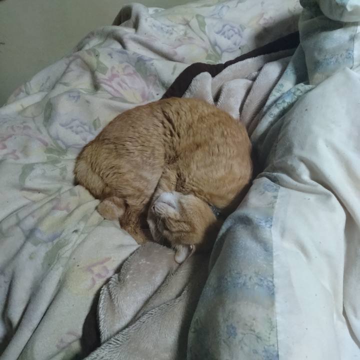 D8b3db4e 56ed 43aa 8095 efc37edce892 1713874131932