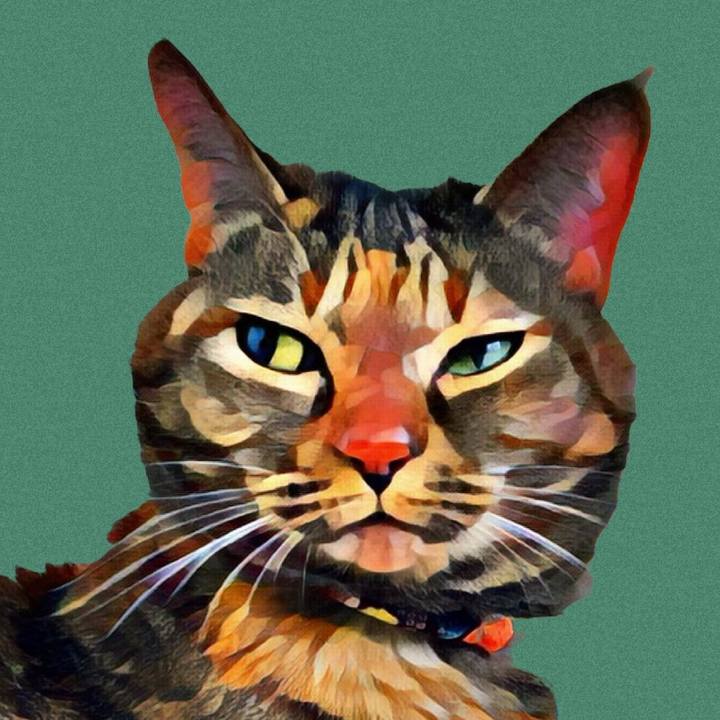 D8b3e296 87d6 45af ac04 da25ab13ff2f 1694918513502