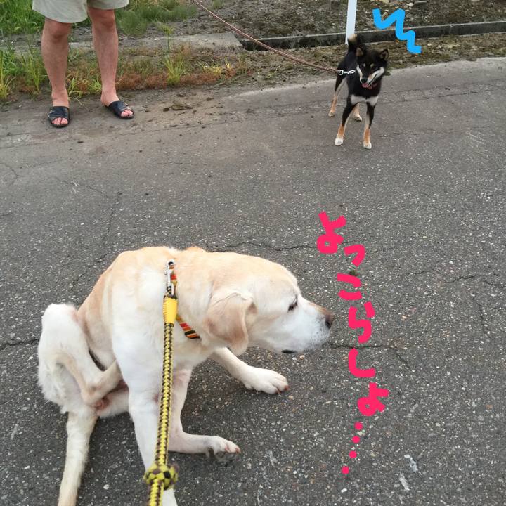 D8b408a5 6fa7 4137 be32 897d18a04363 1532281727203