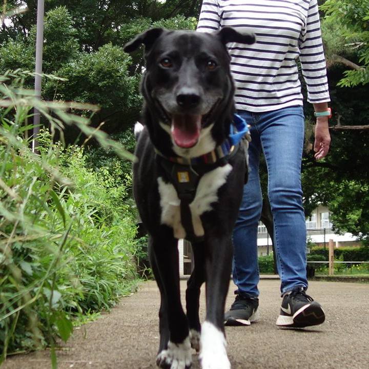 D8b4597e 6306 4360 9246 9fb310bb81f5 1655168285373