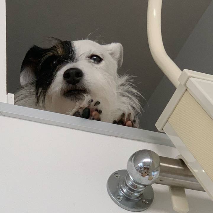 D8b47360 9f47 4387 a485 07e941656ca3 1651756028143