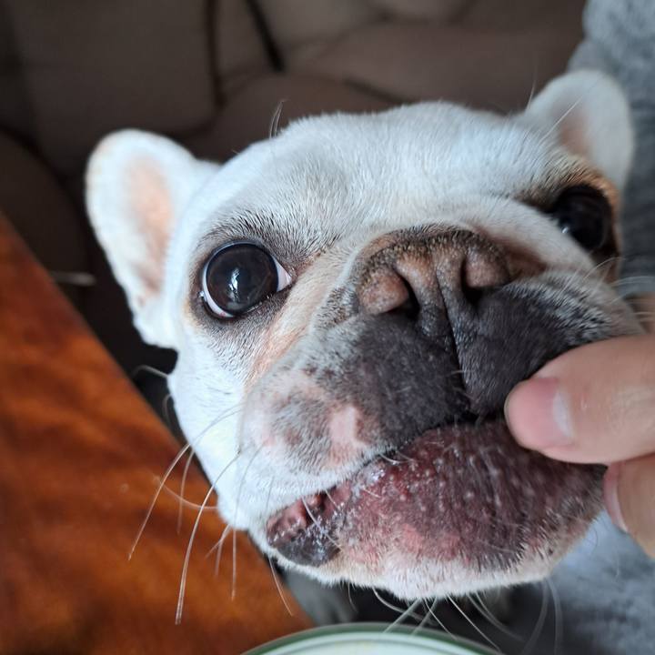 D8b499b8 b5e3 46ad 8faa 0d379e19a724 1704590779797