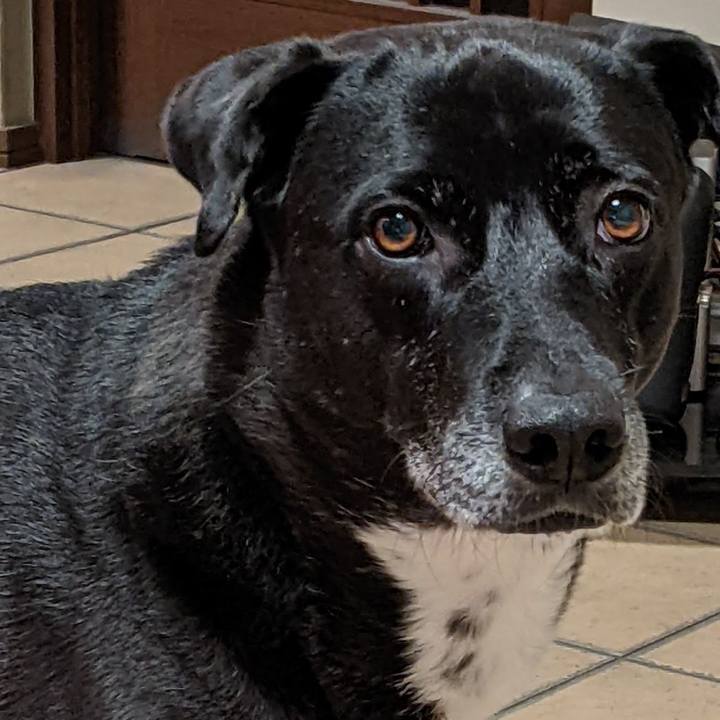 D8b49cfe c261 4cac a20f 79f6780d1d0a 1670497076070