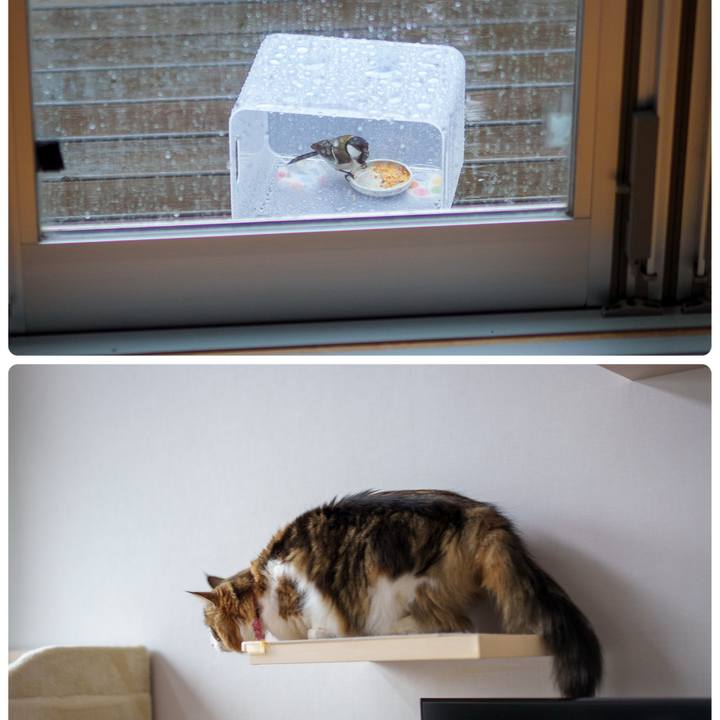 D8b4b4bd 23c1 4c7f 80dd 9a03422fce3d 1742088270446