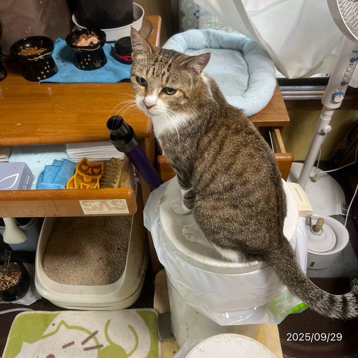 D8b4d99c d2a6 450a 90d1 f4ac0e68c738 1759097622411