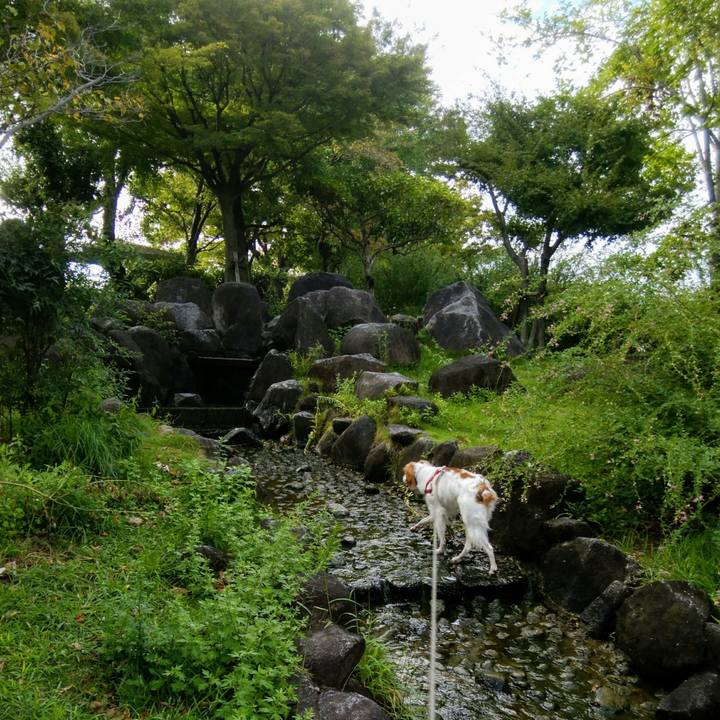 D8b5349b 2166 41e1 9156 0b17435e0cf6 1536579097799