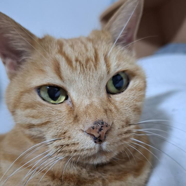 D8b541ef 465f 4cab 87b7 934aff8f0a9f 1751667986910