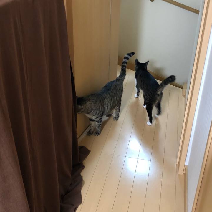 D8b55f75 e8e3 4861 9c74 dd451aee32a2 1530846551061