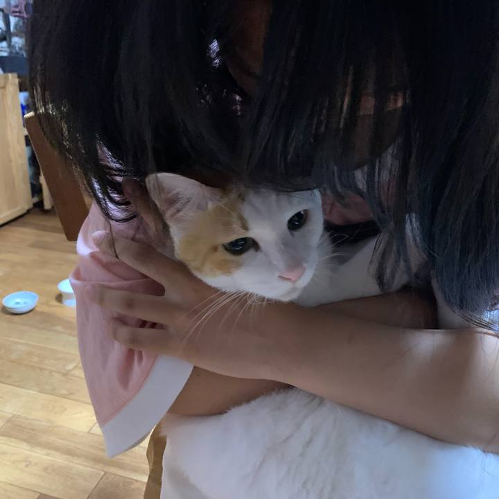 D8b5941e 8c44 47a2 ae19 950d022d19b5 1627647593850