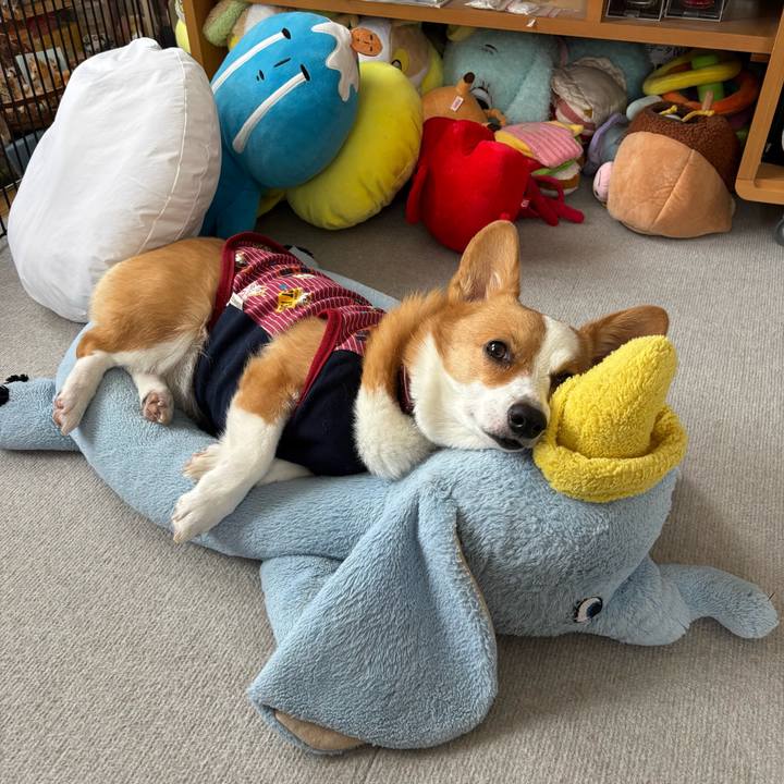 D8b5d21b f1d4 4e97 8206 e5568e488a1a 1762747304395