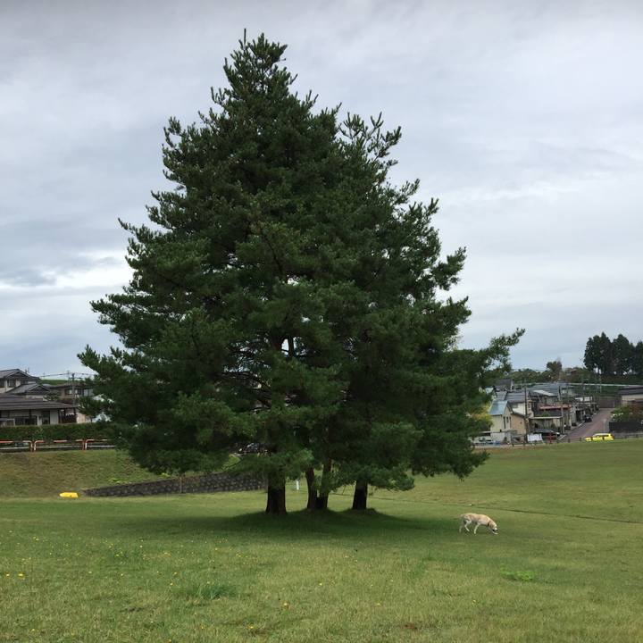 D8b61f4b 391c 4b19 bc30 13250c364d0e 1539743375536