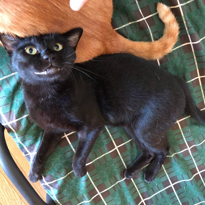 D8b62ff8 50f7 4388 8e09 1434966c4261 1692910991792