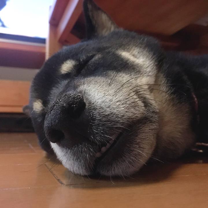 D8b633cf 0447 4caa b411 9d788d34c523 1555768807944