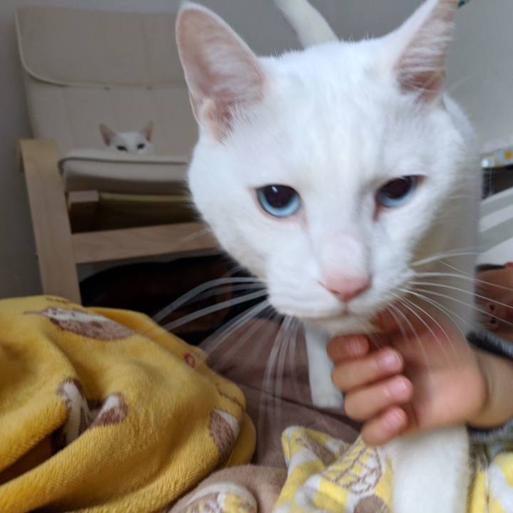 D8b669e3 bc19 46c3 9288 f279c23933d0 1545113171670