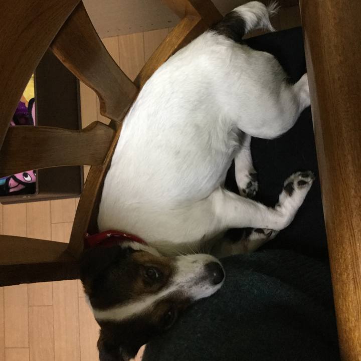 D8b68b58 c92c 45a3 9a93 1db312aca0e7 1520853480487