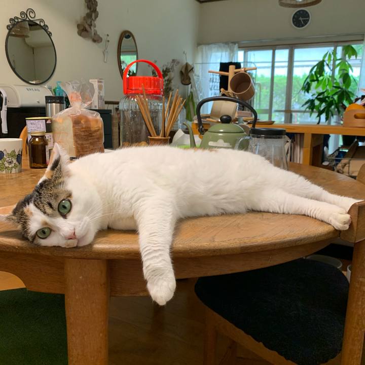 D8b697a8 07ca 4dd6 b531 b2817803a281 1662279583749